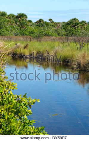 Daylight Merritt Island Florida Daylight Merritt Island Florida
