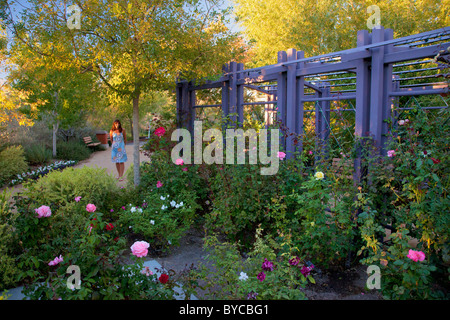 Botanical Gardens At The Springs Preserve Las Vegas Nevada Usa Stock