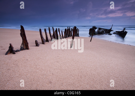 Wreck On Australian Beach At Sunrise Ss Dicky Wreck Dicky Beach