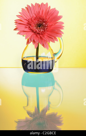 Pink Gerbera In Vase On Yellow Background Stock Photo Alamy