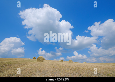 Hay Bales Val D Orcia Siena Province Tuscany Italy Europe Stock