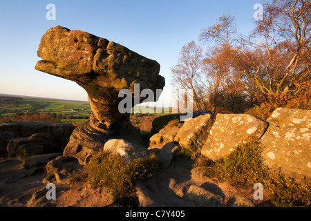 the druids essay In writeworkcom retrieved 09:06, march 11, 2018, from more european history essays: druids the first line must start with i. the druids essay In writeworkcom retrieved 09:06, march 11, 2018, from more european history essays: druids the first line must start with i.