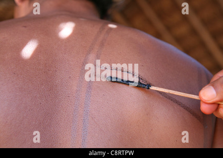 Xingu Indians Paint Their Body Amazone Brazil Stock Photo Alamy