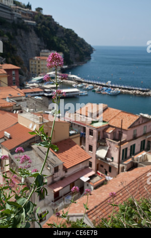 SORRENTO AMALFI COAST ITALY Stock Photo Alamy