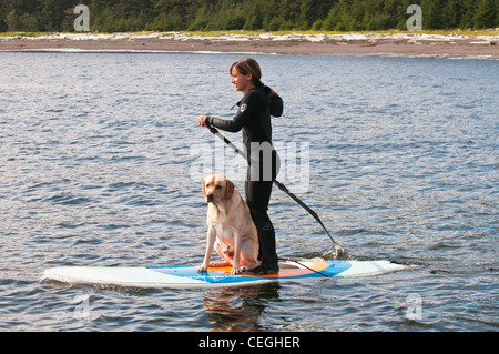 Dog Boarding South Austin Texas Dog Boarding South Austin Texas