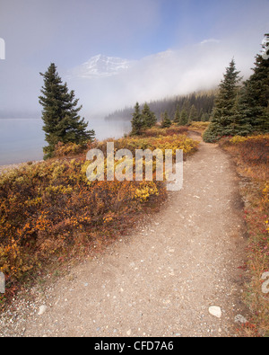 Autumn Colour Along Icefields Parkway Banff National Park Alberta