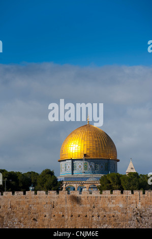 rock city muslim Salim is a young muslim man from oman who moved to new york city a week prior somewhere in america. rock city muslim Salim is a young muslim man from oman who moved to new york city a week prior somewhere in america.