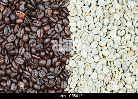 Caffe Rosto Vs Fresh Roast