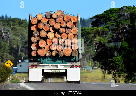 during logging alamy aspley milton keynes woods cut wood northland transportation zealand truck