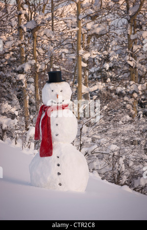 Snowman Wearing A Scarf And Black Top Hat Standing In A Snow Covered