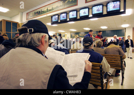 Belmont race track gambling sun coast casino movies
