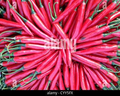 Pasar fx