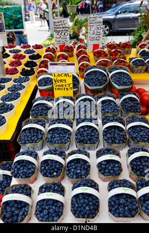 Bayward Market Shopping Farmer Market District Downtown Ottawa Ontario