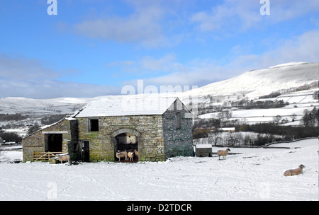 Yorkshire Dales Barns Winter Barn In Snow Landscapes Snow Stock Photo