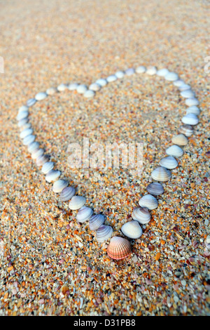 Sea Shell Hearts On The Beach Sand Background Stock Photo