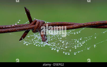 March Roseburg Oregon U S Droplets Of Morning Dew Cling