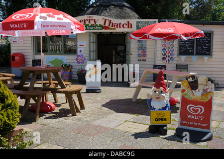 Garden gnome table Stock Photo, Royalty Free Image: 8063261 - Alamy