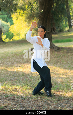 French Translation of Tai Chi Collins English-French