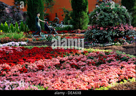 Garden By The Bay Attractions singapore tourist attractions - flower dome at gardensthe bay Garden By The Bay Attractions singapore tourist attractions - flower dome at gardensthe bay