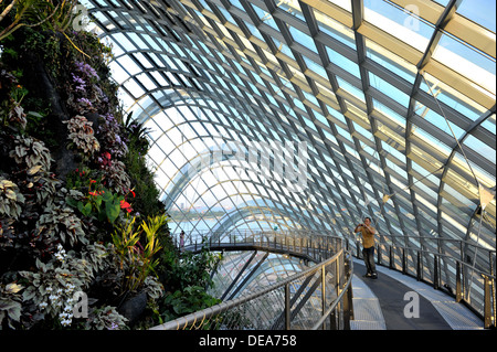 Garden By The Bay Attractions singapore tourist attractions - cloud forest at gardensthe bay Garden By The Bay Attractions singapore tourist attractions - cloud forest at gardensthe bay