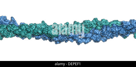 Keratin Intermediate Filament Chemical Structure Keratin Is One Of