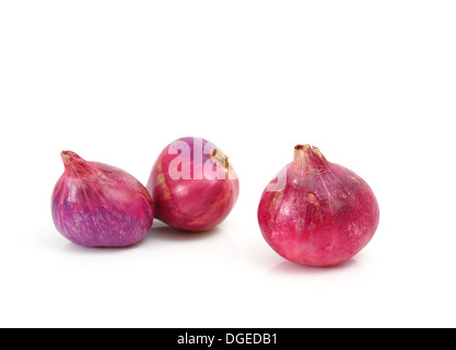 Red Onions Isolated On White Background Stock Photo Alamy