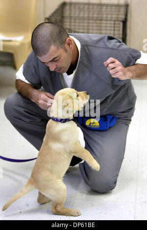 free puppies in west palm oct 03 2006 west palm fl usa attorney david roth stock photo royalty free free puppies in west palm oct 03 2006 west palm fl usa attorney david roth stock photo royalty free
