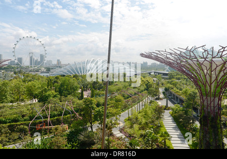 Garden By The Bay Architect gardensthe bay, singapore, singapore. architect: wilkinson Garden By The Bay Architect gardensthe bay, singapore, singapore. architect: wilkinson