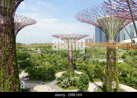 Garden By The Bay Architect gardensthe bay, singapore, singapore, architect: grant stock Garden By The Bay Architect gardensthe bay, singapore, singapore, architect: grant stock