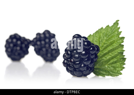 Blackberry With Green Leaf Isolated On White Stock Photo Alamy