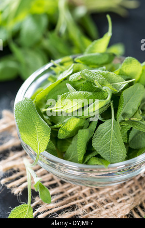 Sage Leaf Close Up Stock Photo Alamy