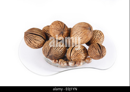 buy cerbera odollam seeds buy cerbera odollam seeds