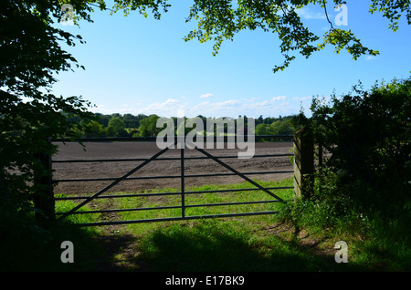 Metal Farm Gate Metal Farm Gate