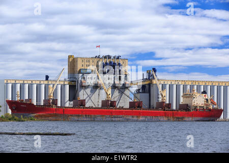 Forex cargo ontario canada
