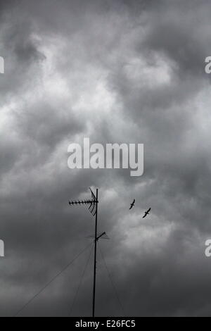 Couple with a television antenna Stock Photo, Royalty Free 