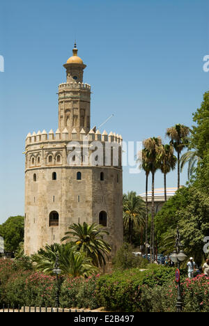 Torre Del Oro Golden Tower Seville Andalusia Spain Europe Stock