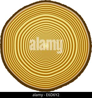 Tree Growth Rings Wood Trunk Vector Annual Organic Stump Tree Circle