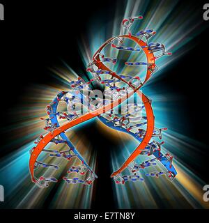 Ribozyme Enzyme And Rna Molecular Model Ribozymes Are Rna