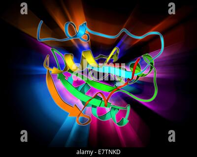 DNA helicase molecule Stock Photo: 65206635 - Alamy