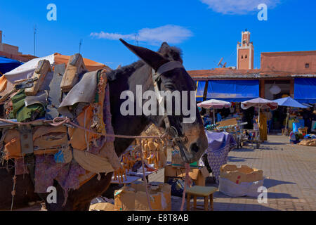 Souk Traditional Market Rahba Kedima Square Place Des Epices Medina