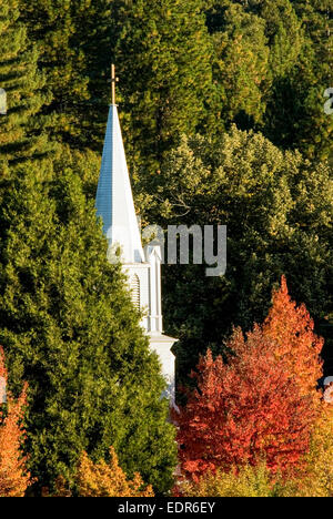catholic singles in fall city Catholic singles groups - if you looking for a partner from the same city, then our site is perfect for you, because you can search for profiles by location. catholic singles in fall city Catholic singles groups - if you looking for a partner from the same city, then our site is perfect for you, because you can search for profiles by location.