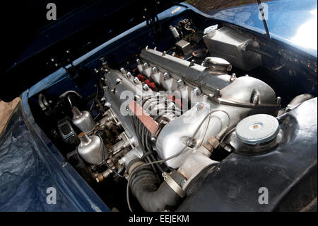 Cylinder Jaguar Engine Stock Photo Alamy