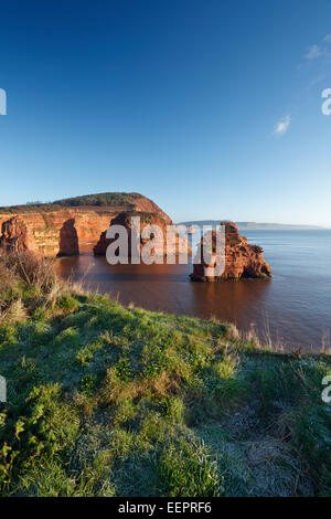 Sandstone Stacks And Cliffs Ladram Bay Devon England United Kingdom