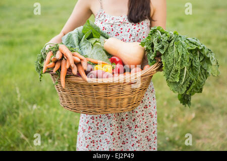 Basket Of Organic Veg Stock Photo Alamy