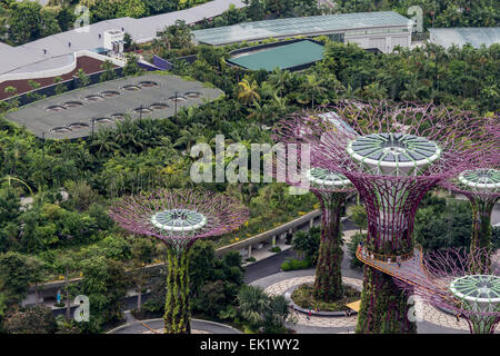 Garden By The Bay August 2014 singapore - august 5, 2014: supertree grove at gardensthe bay Garden By The Bay August 2014 singapore - august 5, 2014: supertree grove at gardensthe bay