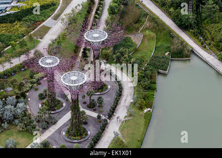 Garden By The Bay August 2014 marina bay park tree structures in singapore stock photo, royalty Garden By The Bay August 2014 marina bay park tree structures in singapore stock photo, royalty