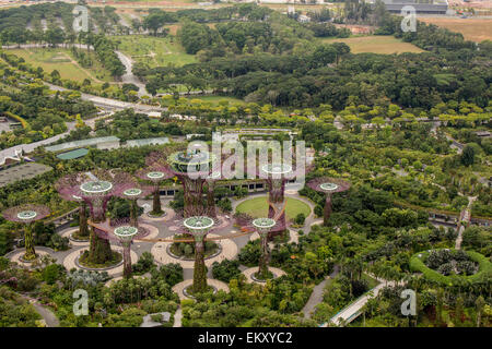Garden By The Bay August 2014 singapore - august 5, 2014: supertree grove at gardensthe bay Garden By The Bay August 2014 singapore - august 5, 2014: supertree grove at gardensthe bay