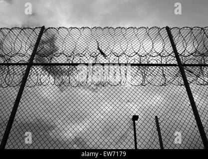 Barbed Wire Fence Prison Barbed Wire Fence Prison