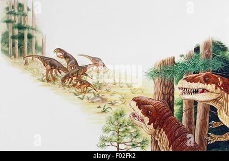 Illustration Of Allosaurus Hunting Stock Photo Alamy