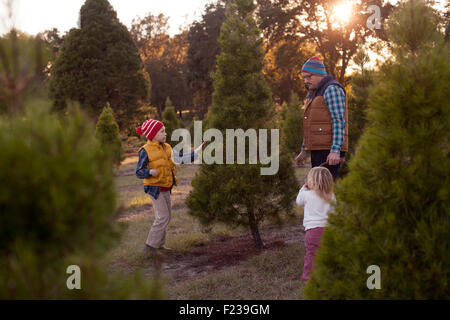 christmas family wood winter outside snow at night night christmas family wood winter outside snow at night night